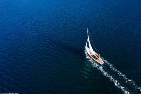 健美属于什么体育项目(图1)