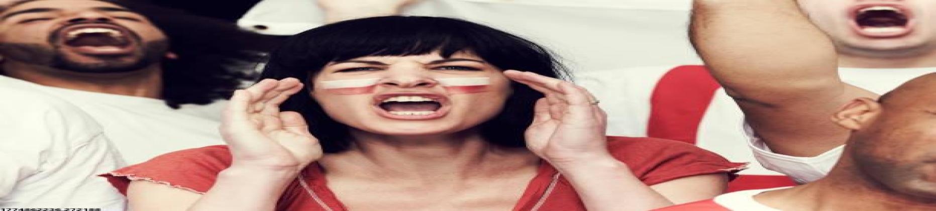 世界杯足球购球入口简介